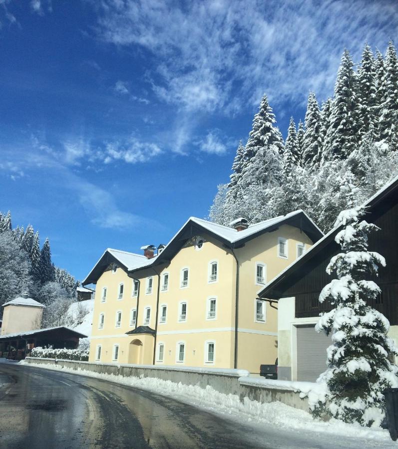 Appartements Feroli Dienten am Hochkonig Bagian luar foto
