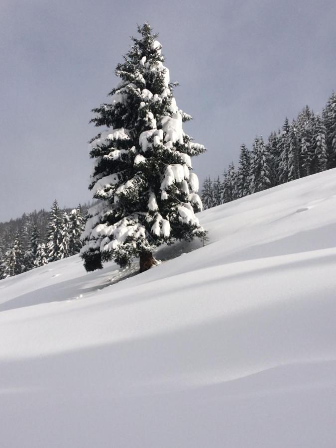Appartements Feroli Dienten am Hochkonig Bagian luar foto