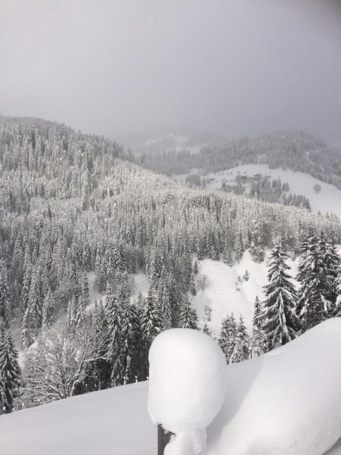Appartements Feroli Dienten am Hochkonig Bagian luar foto